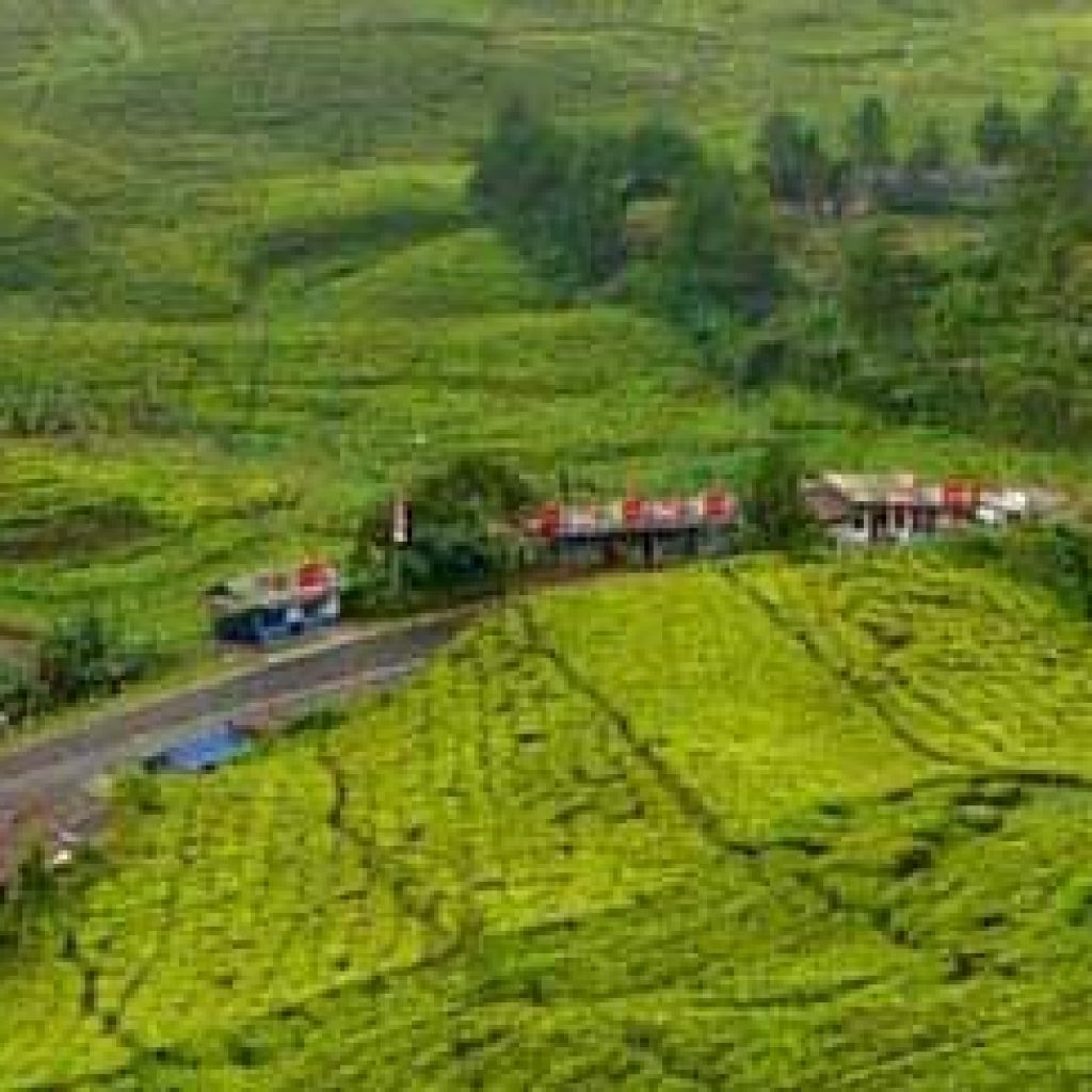 kampung gadis belia rasa janda