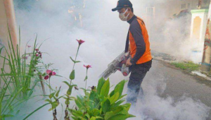 114 Kasus Demam Berdarah Merebak di Kota Madiun