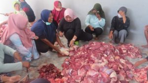 Sebanyak 170 Ekor Sapi dan Kambing Kurban Terpapar Cacing Hati