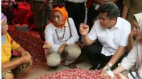 Harga Bawang Merah Tinggi , KPPU Terjun Sidak