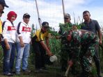 Menuju Kampung Agro, Pemdes Tirtobinangun Gelar Gerakan Menanam Tanaman Produktif