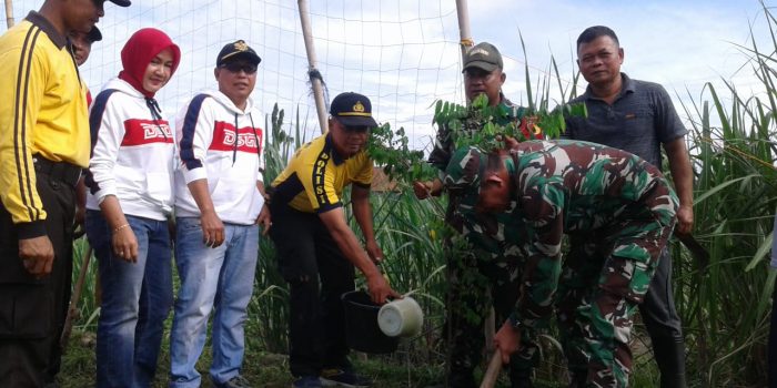 Menuju Kampung Agro, Pemdes Tirtobinangun Gelar Gerakan Menanam Tanaman Produktif