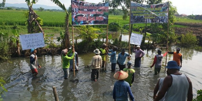 Irigasi Tersumbat Gorong Gorong, Puluhan Petani Di Dua Desa Gelar Unjuk Rasa