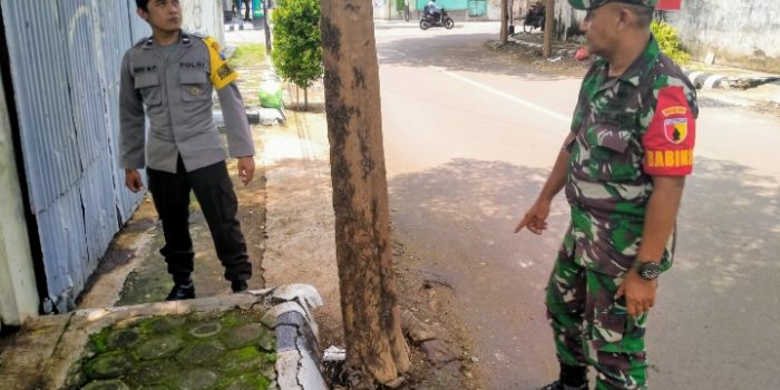 Ulat Bulu, Serang Lima Pohon Ketepeng Kencono Resahkan Warga Kota Kediri