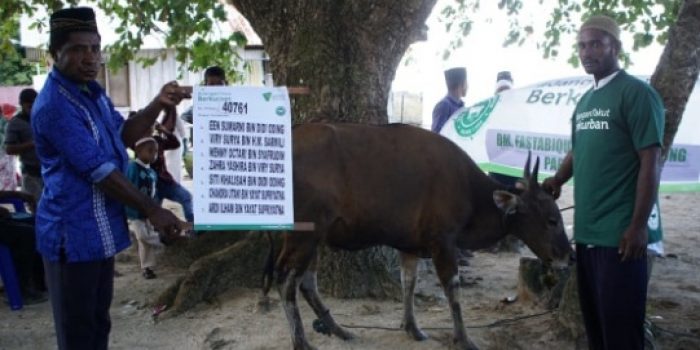 Lima Hikmah Berkurban Pada Idul Adha, Ini Keutamaannya