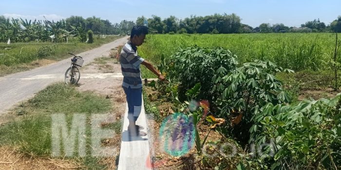 Identitas Begal TKP Sawah Anggaswangi Sudah Dikantongi Polisi