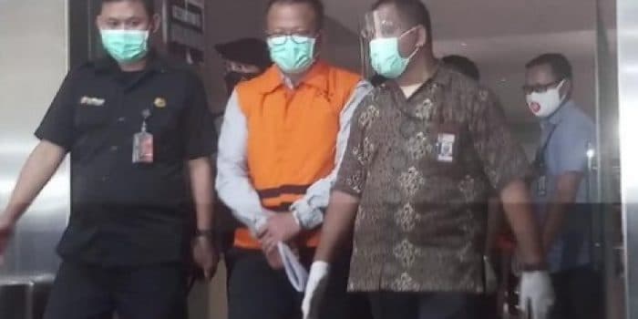 OTT Dipimpin Novel Baswedan, Menteri KKP dan 7 Staf Menteri Resmi Tersangka Korupsi Ekspor Lobster