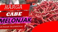 Cuaca Ekstrim , Harga Cabai di Pasar Induk, Melonjak Draktis