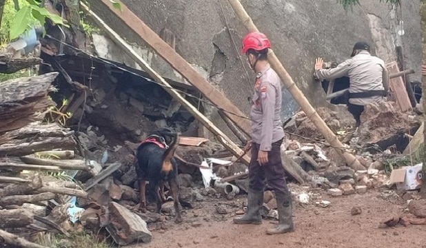 pencarian 16 korban tanah longsor di Ngetos Nganjuk melibatkan anjing pelacak