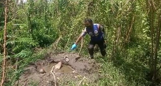 Tukang Rongsokan Mati Tak Wajar di dalam Kubangan Air, Tengah Kebun