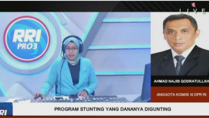 Anggaran Stunting Perlu Evaluasi dan Pengawasan Menyeluruh