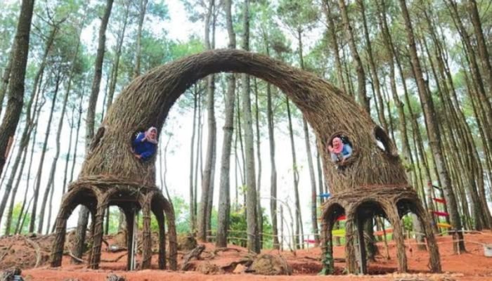 5 Destinasi Wisata Yogyakarta yang Wajib Dikunjungi: Sejarah, Alam, dan Keindahan Tak Terlupakan