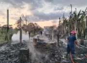 7000 Ayam Ludes Terbakar di Gondang Tulungagung Rugi Rp1 Miliar