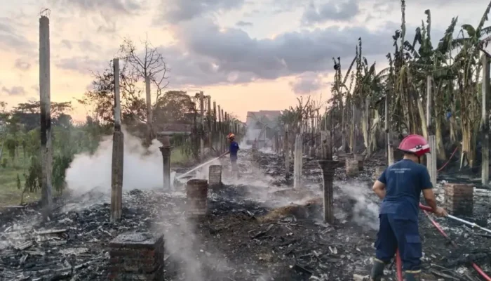 7000 Ayam Ludes Terbakar di Gondang Tulungagung Rugi Rp1 Miliar