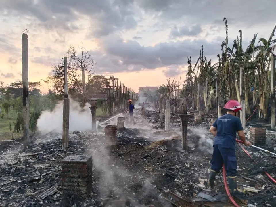 7000 Ayam Ludes Terbakar di Gondang Tulungagung Rugi Rp1 Miliar