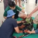 Aksi Dramatis Evakuasi Pria Pingsan di Atas Pohon Setinggi 15 Meter di Kepung Kediri