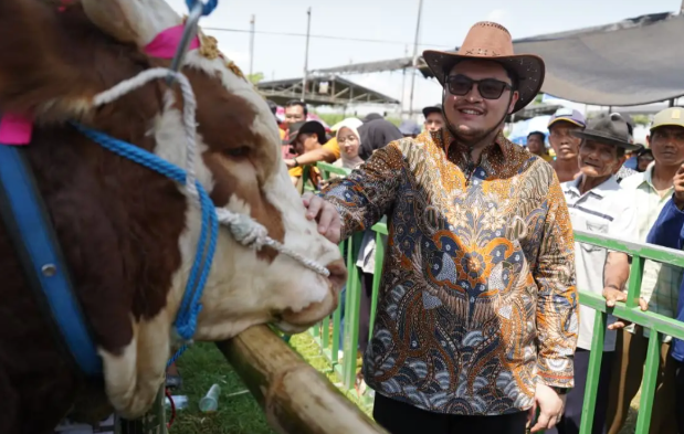 Ambisi Mas Dhito Jadikan Kontes Sapi Kabupaten Kediri Terbaik di Jawa Timur
