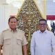 Andra Soni, calon gubernur Banten yang baru terpilih, bertemu dengan Presiden Prabowo Subianto di Istana Negara