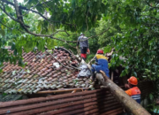 Angin Kencang Terjang Tasikmalaya! Puluhan Rumah Rusak, Akses Jalan Lumpuh