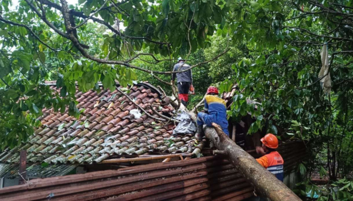 Angin Kencang Terjang Tasikmalaya! Puluhan Rumah Rusak, Akses Jalan Lumpuh