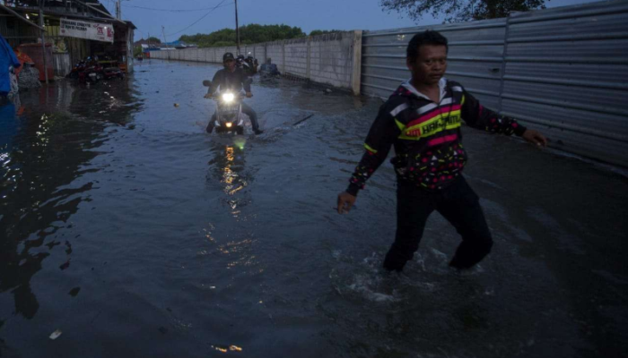 BMKG Peringatkan Banjir Rob di Pesisir Jatim: Ketinggian Air Capai 140 cm