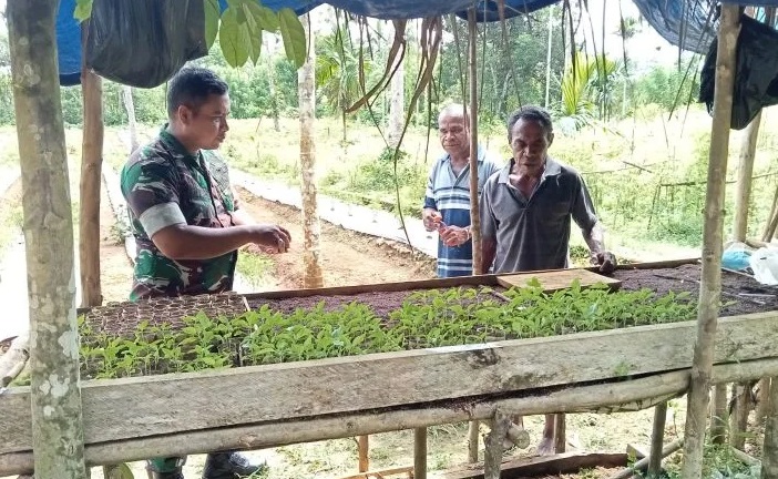 Babinsa Koramil Biak Timur Bantu Warga Kampung Rimba Jaya Menabur Bibit Cabai