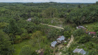 Bagaimana OIKN Mengubah Desa Kalimantan Jadi Wisata Living Museum!