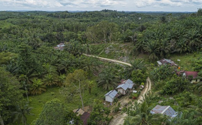 Bagaimana OIKN Mengubah Desa Kalimantan Jadi Wisata Living Museum!