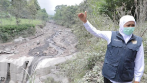 Bencana Terbaru! Api Melahap Bromo, Gubernur Berjuang Selamatkan Taman