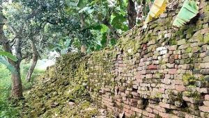 Benteng Istana Majapahit Mirip Tembok Cina Ditemukan Warga di Alas Gunung Kutogirang