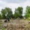 Berkutat dengan Lumpur, Menyelamatkan Bekantan di kawasan Mangrove Rambai