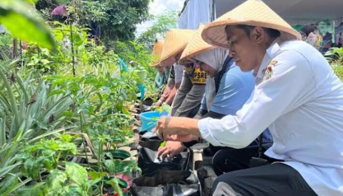 Blitar Memanen Masa Depan, Akankah Halaman Rumah Jadi Penyelamat Ketahanan Pangan Kota?