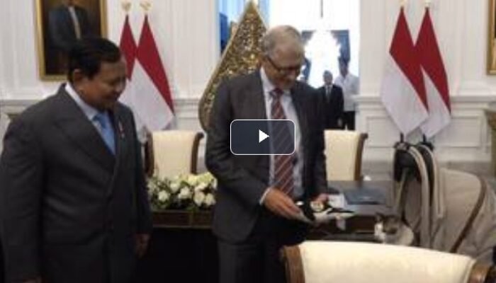 Bobby Kertanegara ‘Go International’: Bill Gates Beri Hadiah, Menteri Ngakak!