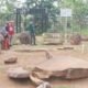 Bondowoso Jadi Gudang Batu Purba Terbanyak