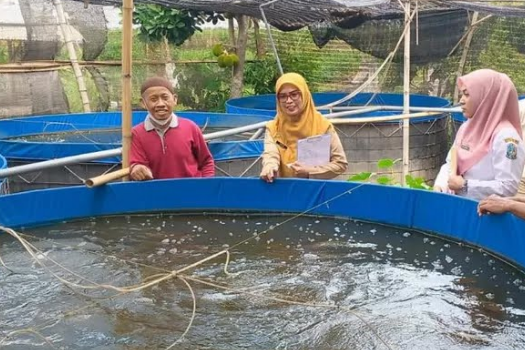 Budidaya Ikan Bioflok Kian Populer , Dinas Perikanan Kab Kediri