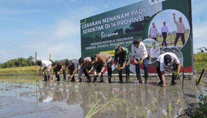 Bupati Kediri Mas Dhito Ikuti Gerakan Tanam Panen Padi Nasional