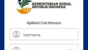 Cara Mudah Mengecek Daftar Penerima Bansos PKH 2023 Kemensos Melalui HP