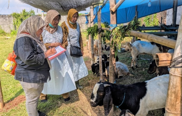 DKPP-Intensifkan-Pemeriksaan-Kesehatan-Hewan-Kurban-Di-Kabupaten-Kediri