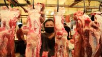 Pemerintah Diminta Evaluasi Regulasi Impor Daging Sapi