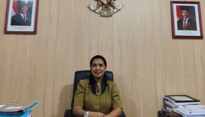 Dari Puskesmas ke Puncak RSUD: Kisah Inspiratif Dr. Novita Felicia Nikijuluw