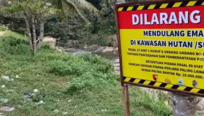 Demam Emas di Keboireng Mereda, Warga dan Perhutani Bertindak Tegas
