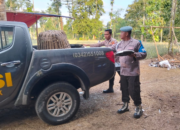 Diduga Jadi Arena Judi Sabung Ayam, Lokasi Aduan Ayam di Sidorejo Ponggok Digrebeg Polisi