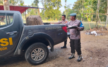 Diduga Jadi Arena Judi Sabung Ayam, Lokasi Aduan Ayam di Sidorejo Ponggok Digrebeg Polisi