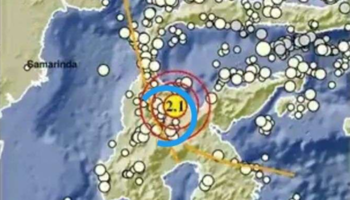 Dini Hari Mencekam: Sulawesi dan Papua Diguncang Gempa Beruntun, BMKG Berikan Peringatan