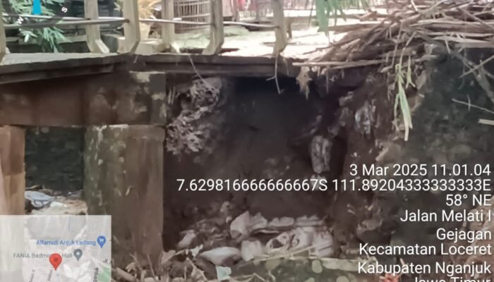 Diterjang Banjir, Jembatan Swadaya Desa Gejagan Ambrol, Akses Petani Lumpuh, Pemdes Harap BPBD Segera Turun