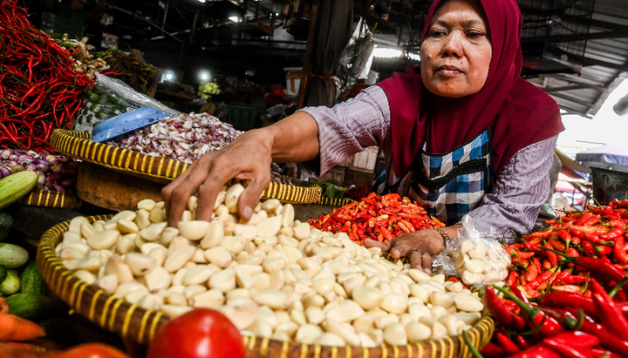 Fakta Mengejutkan! Impor Bawang Putih Ternyata Tak Semahal yang Diklaim Pengusaha