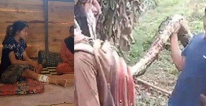 Gadis Belia Lolos dari Maut, Duel Sengit dengan Piton Raksasa Sepanjang Tujuh Meter!