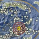 Gempa Bumi M 4,5 Guncang Kepulauan Tanimbar