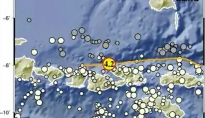 Gempa M4,2 Guncang Sumbawa Tengah Malam: BMKG Beri Peringatan