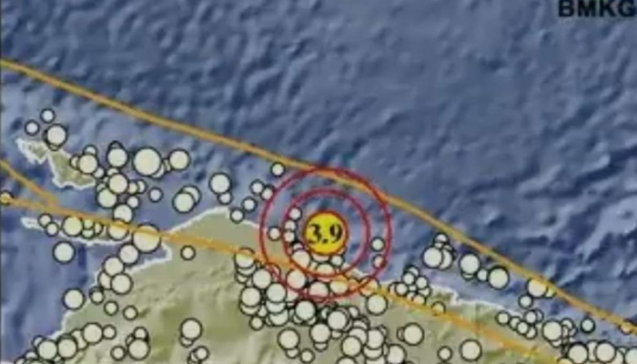 Gempa Magnitudo 3,9 Guncang Distrik Sarmi Papua, BMKG: Waspada Potensi Gempa Susulan